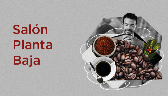 Cata de café 