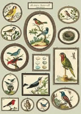 W NATURAL HISTORY BIRDS 2