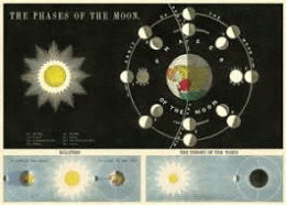 W PHASES OF THE MOON