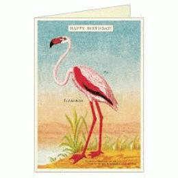 GREETING CARD HAPPY BIRTDHAY FLAMINGO