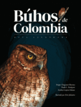 BUHOS DE COLOMBIA GUIA ILUSTRADA