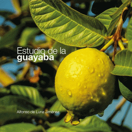 ESTUDIO DE LA GUAYABA