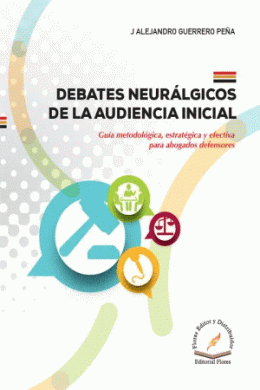 DEBATES NEURALGICOS DE LA AUDIENCIA INICIAL