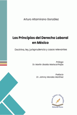 PRINCIPIOS DEL DERECHO LABORAL EN MEXICO, LOS