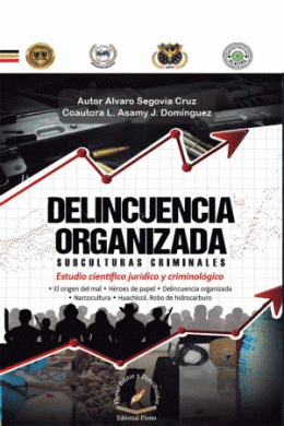 DELINCUENCIA ORGANIZADA