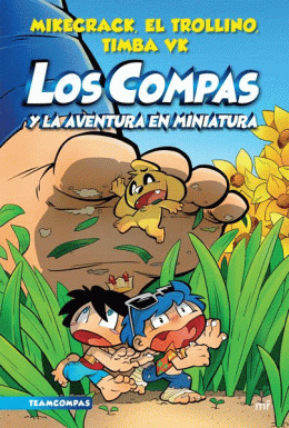 COMPAS 8. LOS COMPAS Y LA AVEN