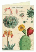 GREETING CARD CACTI  & SUCCULENTS