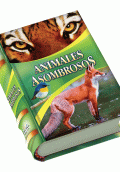 ANIMALES ASOMBROSOS - MINI LIBROS