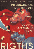 LIBRO DE IMPRESIÓN BAJO DEMANDA - INTERNATIONAL INSTITUTIONS AND SOCIAL, ECONOMIC AND CULTURAL RIGHTS