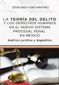 TEORIA DEL DELITO Y LOS DERECHOS HUMANOS
