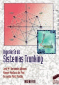 INGENIERIA DE SISTEMAS TRUNKING
