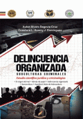 DELINCUENCIA ORGANIZADA