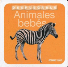 ANIMALES BEBÉS