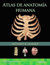 ATLAS DE ANATOMÍA HUMANA