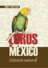 LOROS DE MÉXICO