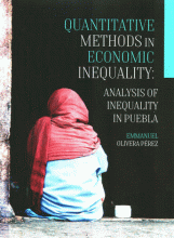QUANTITATIVE METHODS IN ECONOMIC INEQUALITY