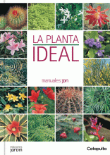 PLANTA IDEAL, LA