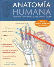 ANATOMÍA HUMANA (APRENDE CON COLOR)