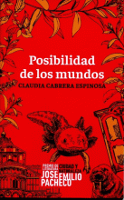 POSIBILIDAD DE LOS MUNDOS